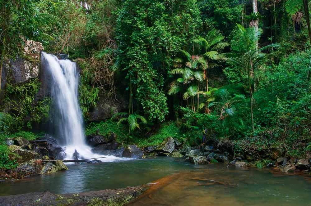 Mt Tamborine Stonehaven pensión Gold Coast Exterior foto